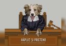 Apel al Asociației Hăpluț și Prietenii: 230 de animale depind de sprijinul comunității