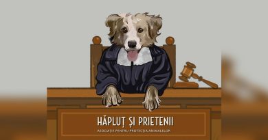 Apel al Asociației Hăpluț și Prietenii: 230 de animale depind de sprijinul comunității