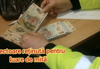 Directoare de școală din Cilibia, prinsă în flagrant cu 10.000 de lei mită – arestată la domiciliu